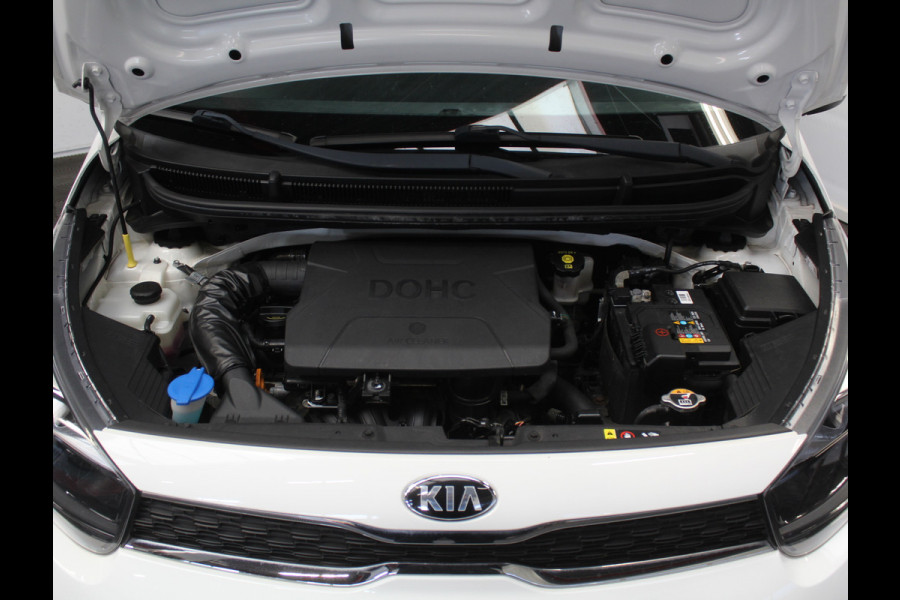 Kia Picanto 1.0 CVVT DynamicLine AIRCO | CAMERA | CARPLAY | CRUISE | LMV | NAVI | STB | CV