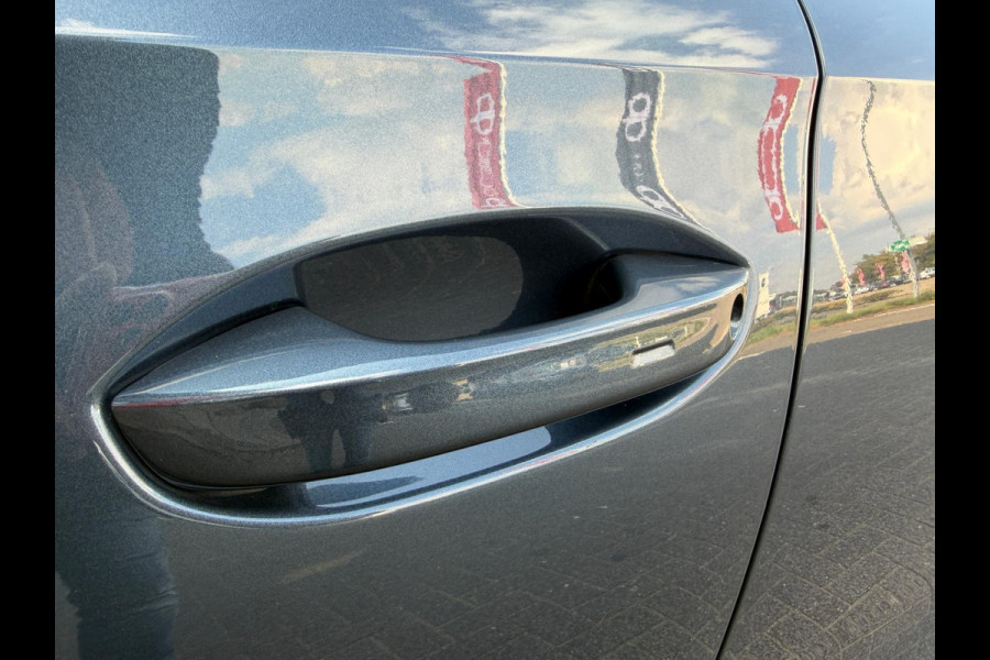 CUPRA Formentor 1.4 e-Hybrid VZ Panorama
