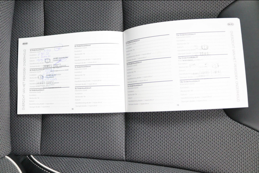 Kia e-Niro DynamicLine 64 kWh*ACC*CAM*NAVI*ECC*