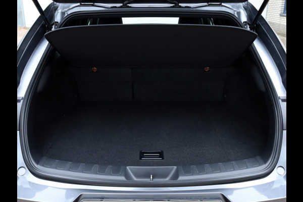 Lexus UX 250h AWD Luxury Line | Leder | Head up | Dodehoek