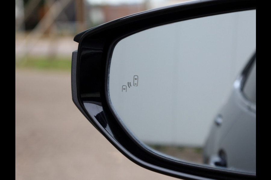 Lexus UX 250h AWD Luxury Line | Leder | Head up | Dodehoek