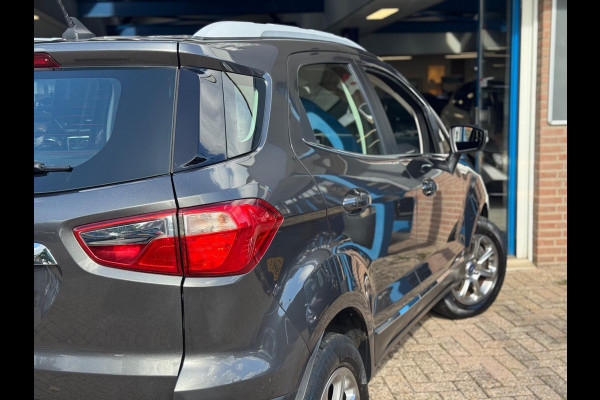 Ford EcoSport 1.0 EcoBoost Titanium 2019 NAVI CLIMA NAP BTW!