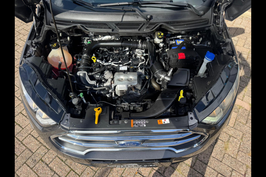 Ford EcoSport 1.0 EcoBoost Titanium 2019 NAVI CLIMA NAP BTW!