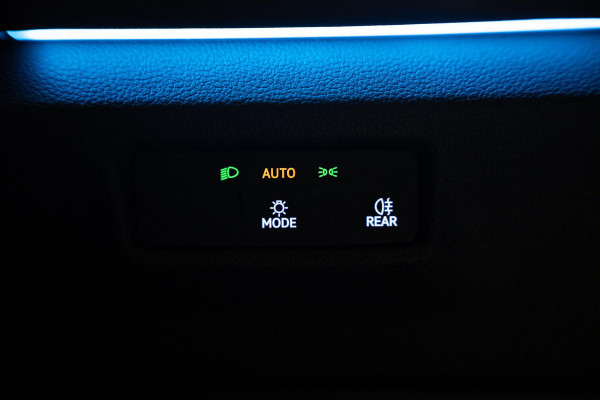 Volkswagen Tiguan 1.5 eTSI Life Edition | Camera | Winter Pack | ACC