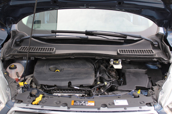 Ford Kuga 1.5 120 pk EcoBoost Trend Ultimate 1800kg Trekgewicht, Trekhaak, Lm velgen, Navigatie Ford Kuga 1.5 120 pk EcoBoost Trend Ultimate 1800kg Trekgewicht, Trekhaak, Lm velgen, Navigatie