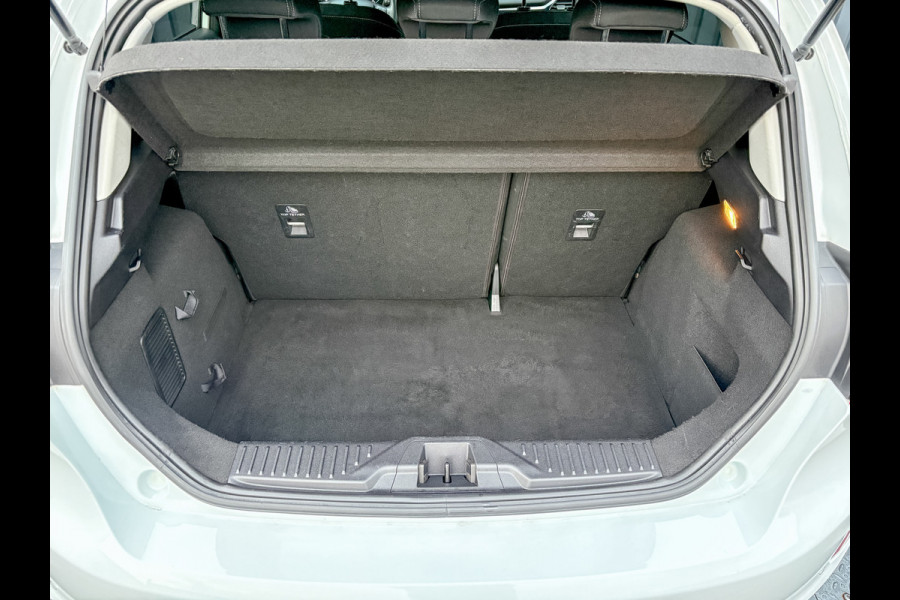 Ford Fiesta 1.0 EcoB. Aut. Titanium | Trekhaak | Stoel & Stuur verw. | Camera | Navi | PDC V&A | Prijs Rijklaar!!