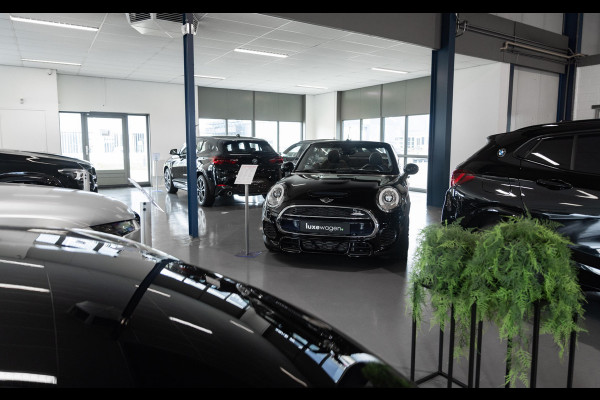 BMW X2 xDrive25e M-Sport Goldplay Pano ACC HUD Camera M-zetels