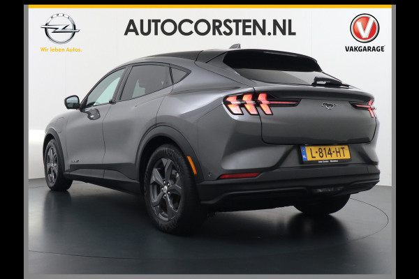 Ford Mustang Mach-E Extended RWD 98kWh 301PK SOH 95.5% Leer Long Range Adaptive Cruise Stop&Go Apple Carplay Android Auto 360°Camera Active B Stoel+Stuurverwarming Ecc Elektr.Achterklep Driver Alert Warning Keyless Origineel Nederlandse Auto €56.476- nieuw, Batterijgarantie 8 jaar of 160.000km vanaf nieuw Ford Mustang Mach-E Extended RWD 98kWh 301PK SOH 95.5% Leer Long Range Adaptive Cruise Stop&Go Apple Carplay Android Auto 360°Camera Active B Stoel+Stuurverwarming Ecc Elektr.Achterklep Driver Alert Warning Keyless Origineel Nederlandse Auto €56.476- nieuw, Batterijgarantie 8 jaar of 160.000km vanaf nieuw