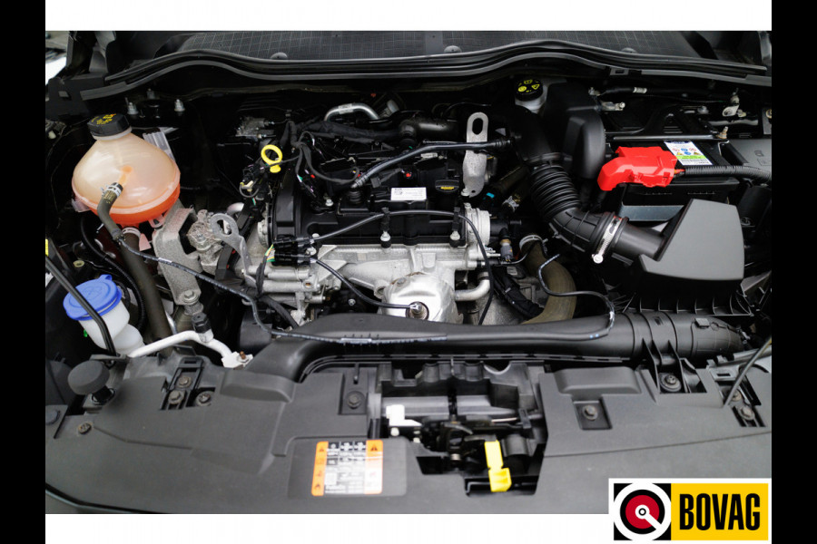 Ford Fiesta 1.1 Trend 85 PK | Navigatie | Airco | All Season banden | Cruise | PDC achter | Apple Carplay, Android auto Ford Fiesta 1.1 Trend 85 PK | Navigatie | Airco | All Season banden | Cruise | PDC achter | Apple Carplay, Android auto