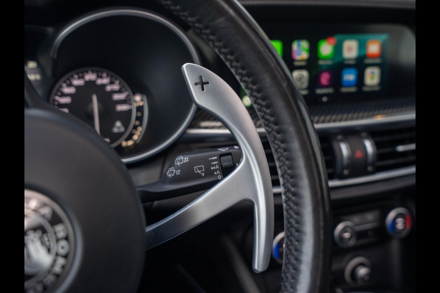 Alfa Romeo Stelvio 2.9 V6 AWD Quadrifoglio 510PK / Pano / Carbon / H&K / Memory