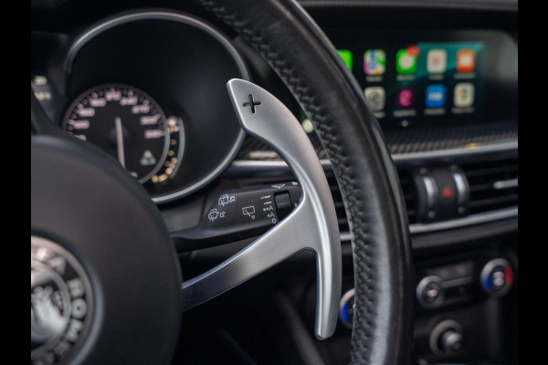 Alfa Romeo Stelvio 2.9 V6 AWD Quadrifoglio 510PK / Pano / Carbon / H&K / Memory