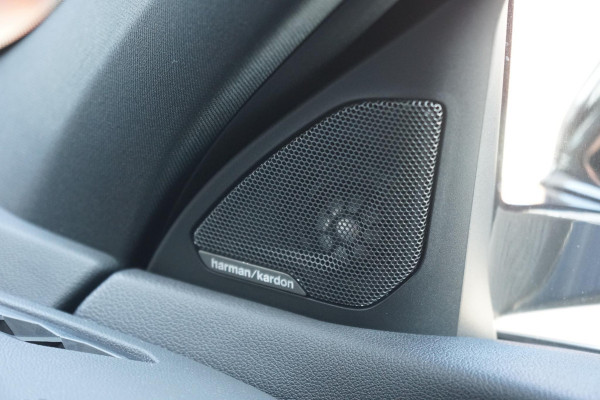 BMW 1-serie 118i Executive Edition + HARMAN KARDON / CAMERA / STOELVERWARMING
