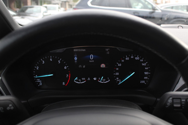 Ford Fiesta 1.0 EcoBoost Active / Camera / CarPlay / Keyless / 18'' / B&O / Stuur+Stoelverwarming / Dodehoek / DAB