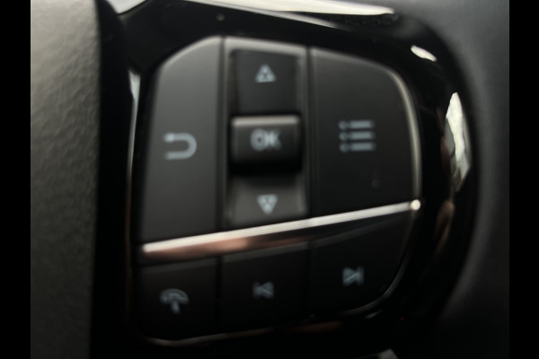 Ford Puma 1.0 EB Hybrid. Titanium AUTOMAAT! DRIVERPACK! COMFORTPACK! WINTE