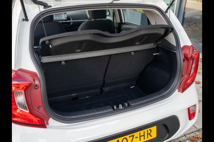 Kia Picanto 1.0 DPi DynamicLine / Camera / Cruise / Carplay / DAB+ / 5P Kia Picanto 1.0 DPi DynamicLine / Camera / Cruise / Carplay / DAB+ / 5P