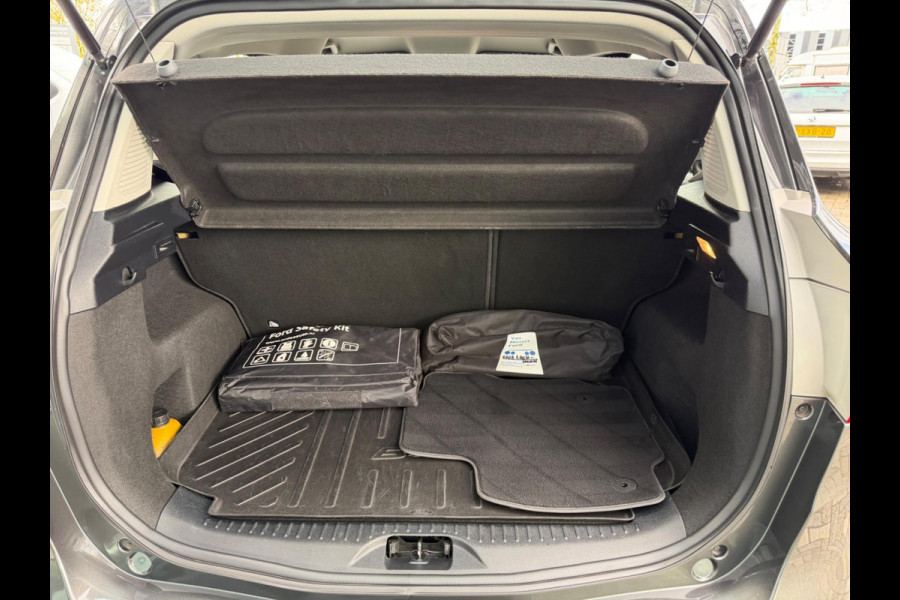 Ford B-MAX 1.0 EcoBoost Titanium, NAP, Camera, Trekhaak