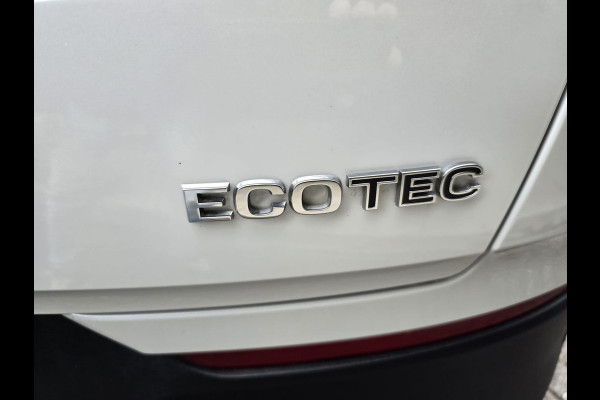 Opel Grandland X 1.2 Turbo Innovation | 2E EIGENAAR| 12 MND GARANTIE | NAVI | CAMERA | TREKHAAK |