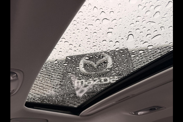 Kia Niro 1.6 GDi Hybrid ExecutiveLine | PANO | ADAPTIVE CRUISE CONTROL | CAMERA |