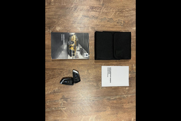 BMW X2 SDrive20i High Executive m pakket Aut Edition Navi Pano Dak sport leder harman/kardon 19 inch Vol Opties