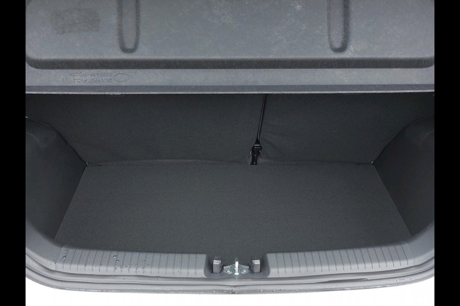 Hyundai i10 1.0 Premium VAN: €23.295 VOOR: €20.545