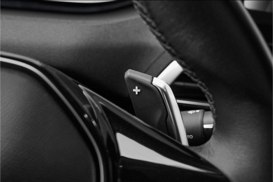 Peugeot 3008 1.2 PureTech Blue Lease Premium ACC Camera Trekhaak 1e Eig Ori NL
