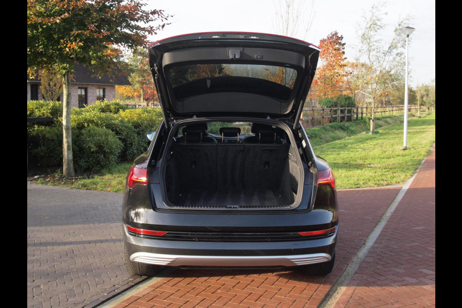 Audi e-tron e-tron 55 quattro advanced 95 kWh | S-line | Panoramadak | Bang & Olufsen | Camera | Apple Carplay |