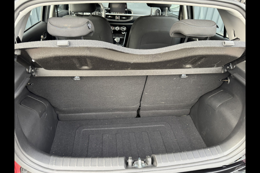 Kia Picanto 1.0 DPi DynamicLine | Camera | Cruise Control | Apple Carplay/ Android Auto | Prijs Rijklaar!!