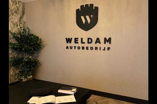 Opel Insignia Sports Tourer 1.5 Turbo Business Executive OPC Line NAP Garantie Trekhaak Camera StuurVW PDC Cruise Navi Rijklaar