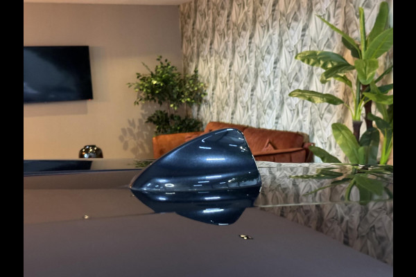 Alfa Romeo Stelvio 2.0 T AWD Super Garantie 280 PK Memory StuurVW StoelVW Elek Achterklep Leder PDC Led Cruise Clima Navi Rijklaar