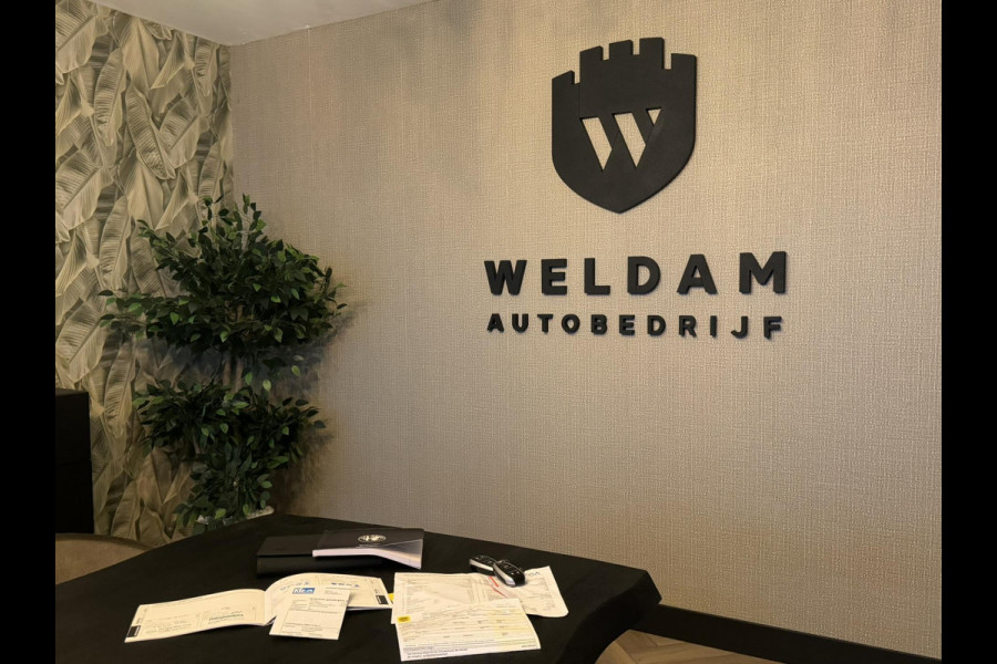 Alfa Romeo Stelvio 2.0 T AWD Super Garantie 280 PK Memory StuurVW StoelVW Elek Achterklep Leder PDC Led Cruise Clima Navi Rijklaar