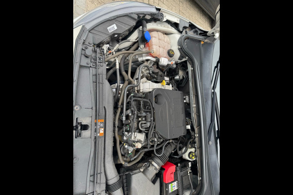 Ford FOCUS Wagon 1.0 EcoBoost Titanium Business | Trekhaak | Adaptieve cruise control | Winter Pack |