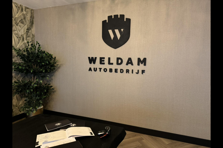 Alfa Romeo Stelvio 2.0 Turbo First Edition Garantie Memory StuurVW StoelVW Camera Elek Achterklep Leder Cruise Clima Navi Rijklaar