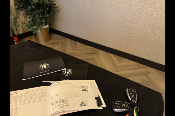 Alfa Romeo Stelvio 2.0 Turbo First Edition Garantie Memory StuurVW StoelVW Camera Elek Achterklep Leder Cruise Clima Navi Rijklaar