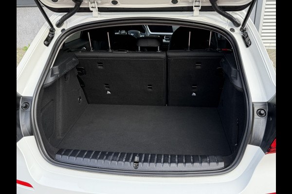 BMW 1-serie 116i Business Edition | Apple Carplay | DAB+ | PDC V+A