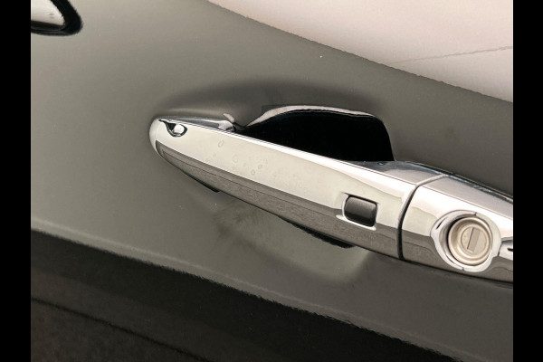Kia e-Niro ExecutiveLine 64 kWh Leder Camera Origineel NL
