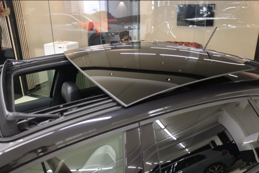 Volkswagen Polo 2.0 TSI GTI PANO/CARPLAY/CAM/SFEERVER/BLINDESPOT/VOL