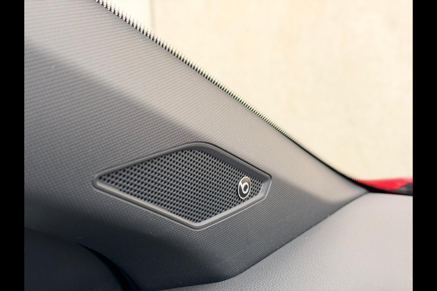 Volkswagen Polo 2.0 TSI GTI Pano DSG Camera Virtual Beats 18''