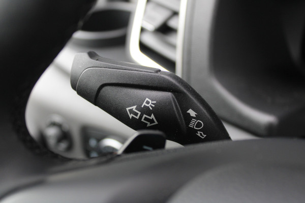 Ford Transit 350 2.0 TDCI L3H2 Limited Raptor 165pk - LUCHTVERING - ACC - Blind Spot - 360 camera - Raptor Grill - Stoel-Stuurverwarming - Tr