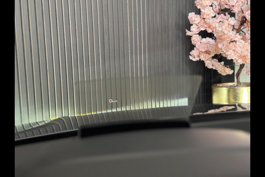 Audi Q2 2.0 TFSI quattro S-LINE | PANO | VIRTUAL | B&O | VOL!