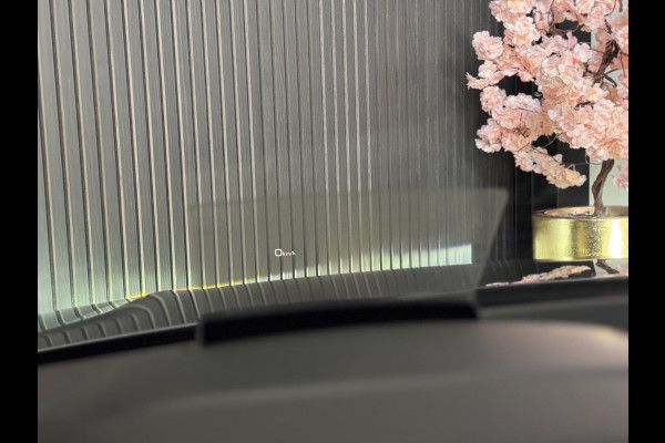 Audi Q2 2.0 TFSI quattro S-LINE | PANO | VIRTUAL | B&O | VOL!