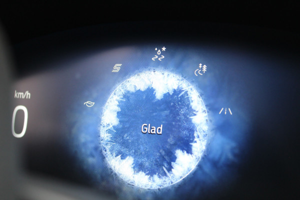 Ford Puma 1.0 EcoBoost 155PK Hybrid ST-Line X | BLIS | B&O | Navigatie | Led | Camera