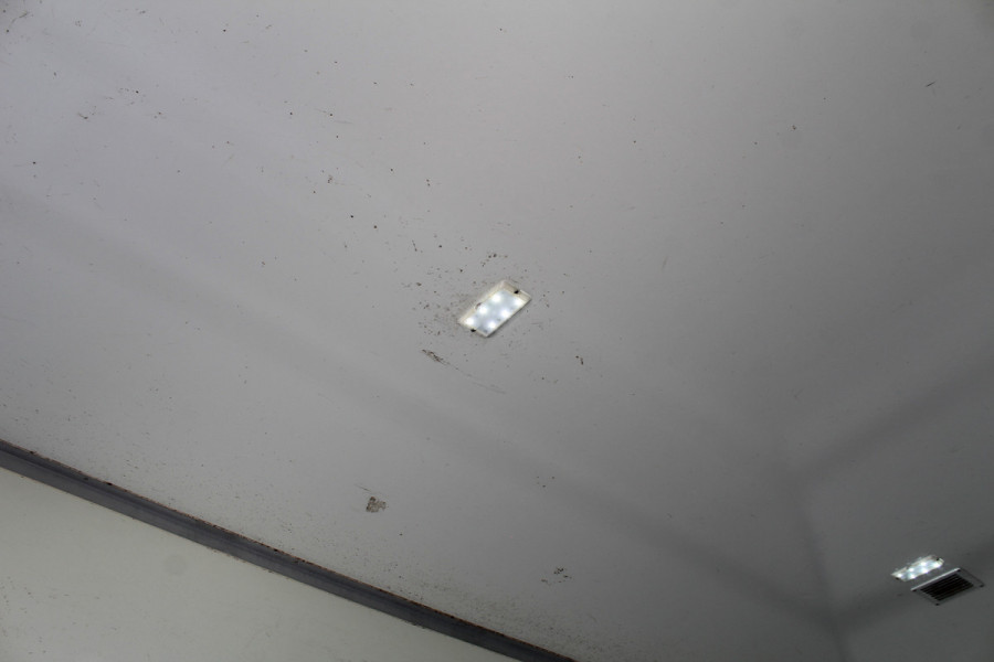 Ford Transit 350 2.0 TDCI L5H1 Trend RWD | Bakwagen | dHollandia Laadklep | Dubbel Lucht