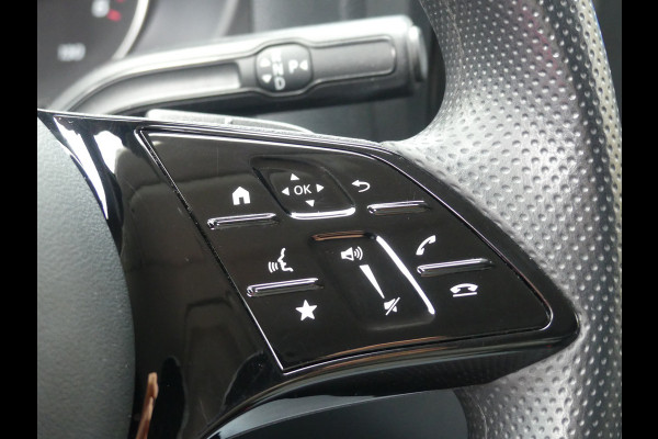 Mercedes-Benz Vito 116 CDI LANG Camera/Airco/Cruise control/Side bars