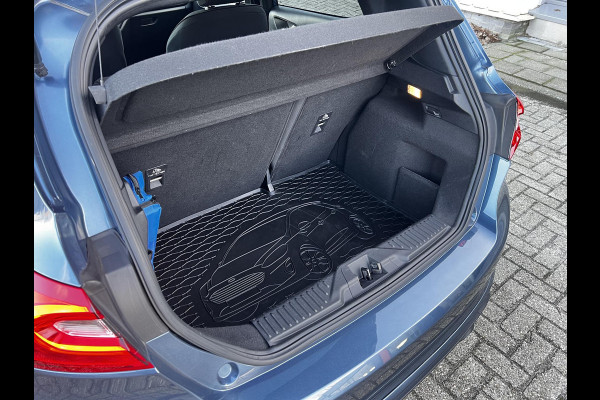 Ford Fiesta 1.0 EcoBoost ST-Line 100pk | Cruise control | Zuid | Apple Carplay/Android Auto
