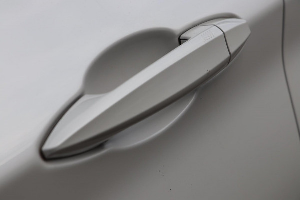 BMW X1 XDrive20i High Executive / PANO / KEYLESS / CAMERA / STUUR+STOELVERW