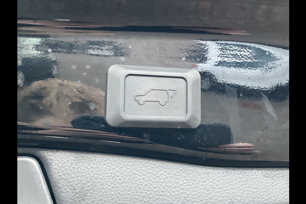 Toyota RAV4 2.5 Hybrid AWD Executive Premium Pack Pano.dak Leer 4x4 DAB