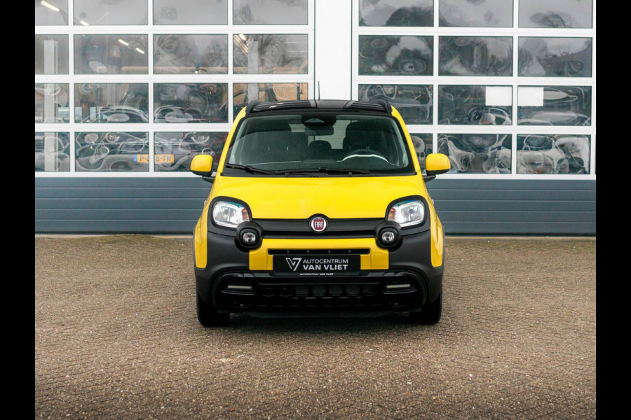 Fiat Panda Hybrid Pandina | Airco | Cruise | Priv Glass | Dakrails | 15" | PDC | Apple Carply | Bicolore