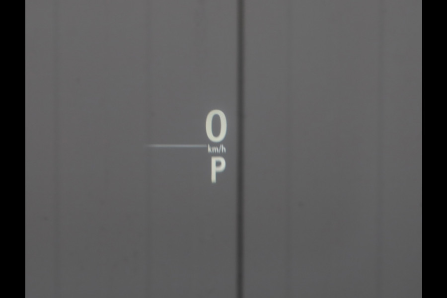 Lexus NX 300h AWD F Sport Premium | Mark Levinson | Panoramadak | Head Up