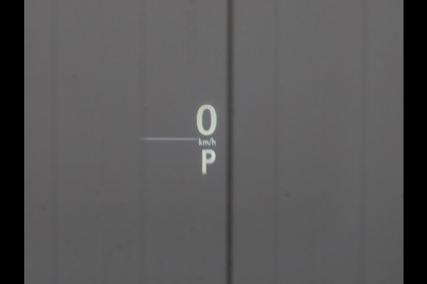 Lexus NX 300h AWD F Sport Premium | Mark Levinson | Panoramadak | Head Up