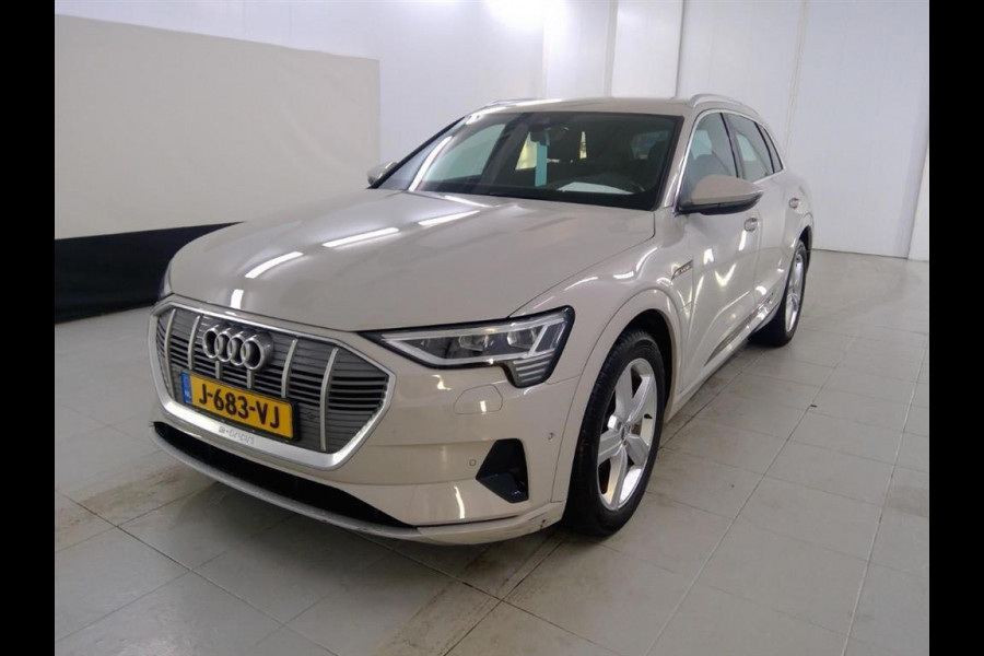 Audi e-tron 50 quattro Business edition 71 kWh | Navi | LED | DAB+